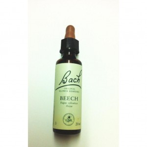 flor de Bach Beech