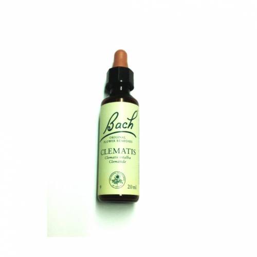 Flor de Bach Clematis