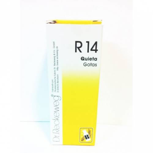 DR RECKEWEG R14