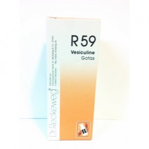 DR RECKEWEG R59